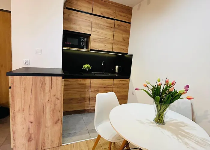 Wygodne Mieszkania Nova Mikolowska